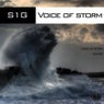 Voice of Storm
