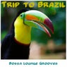 Trip to Brazil