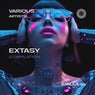 EXSTASY