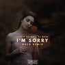 I'm Sorry (Rafo Remix)