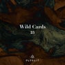Wild Cards 25