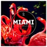 Miami House Anthems Vol. 29