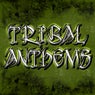 Tribal Anthems (The Best House Music Tribal Anthems)