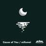 Cause of You