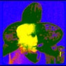 watch the fall (slowed)
