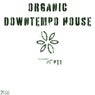 Organic Downtempo Flower House, Pt. 1