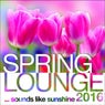 Spring Lounge 2016 - Sounds Like Sunshine
