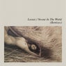 No-One In The World (Remixes)