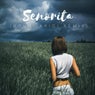 Senorita (Boudi Aridi Cover Remix)