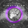 Simulation