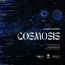 Cosmosis