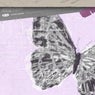 Butterfly Invasion