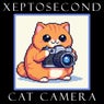 Cat Camera