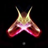 Comfort In The Void - EP