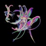 Drone (Extended Mix)