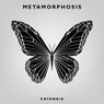 Metamorphosis