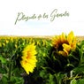 Plazuela de los Girasoles
