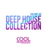 Deep House Collection Vol. 2