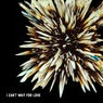 I Can't Wait For Love
