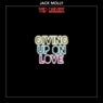 Giving Up On Love (VIP Mix)