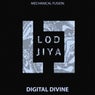 Digital Divide