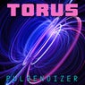 Torus