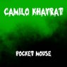 Pocket Mouse