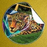 Tegridad
