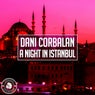 A Night In Istanbul