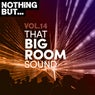 Nothing But... That Big Room Sound, Vol. 14