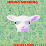 Spring Morning