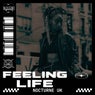 Feeling Life