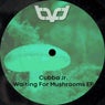 Waiting 4 Mushrooms