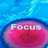 Focus