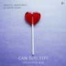 Can You Feel (Extended Mix)