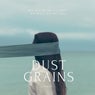 Dust Grains