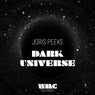 Dark Universe