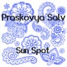 Sun Spot