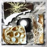Mycelial