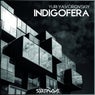 Indigofera