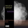 Blossom (Sergiy Akinshin Remix)