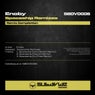 Spaceship (Remixes)