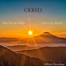 Take You On a Ride / Love Is the Answer