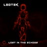 Lost in the Echoes