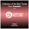 Collection of the Best Tracks From: Daminika, Pt. 4