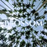 Blossom