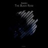 The Black Rose