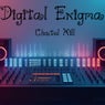 Digital Enigma