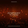 Orchestral Selection I
