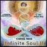 Infinite Soul II